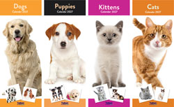 Calendar 2027 Slim Animals Assorted