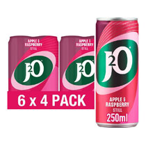 J20 Apple & Raspberry Can 6 x 4 Pack